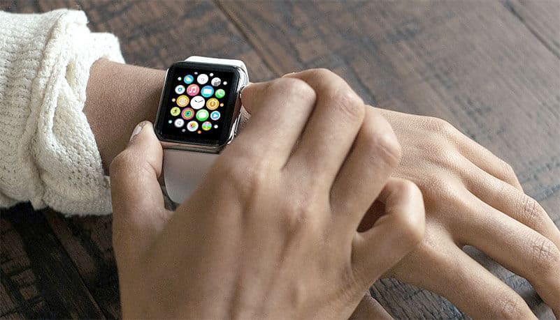 Watch Bracelet