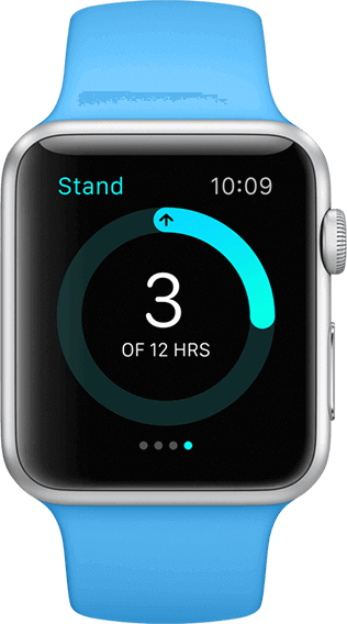 Watch Bracelet